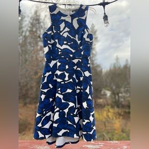 Banana Republic Fit and Flare Dress